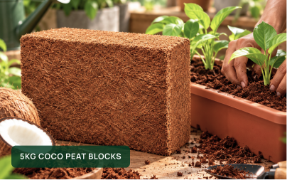 Coco peat blocks