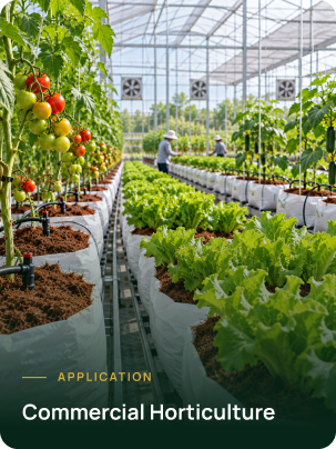 Berry cultivation